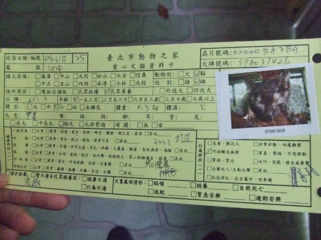 圖檔
