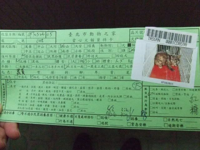 圖檔