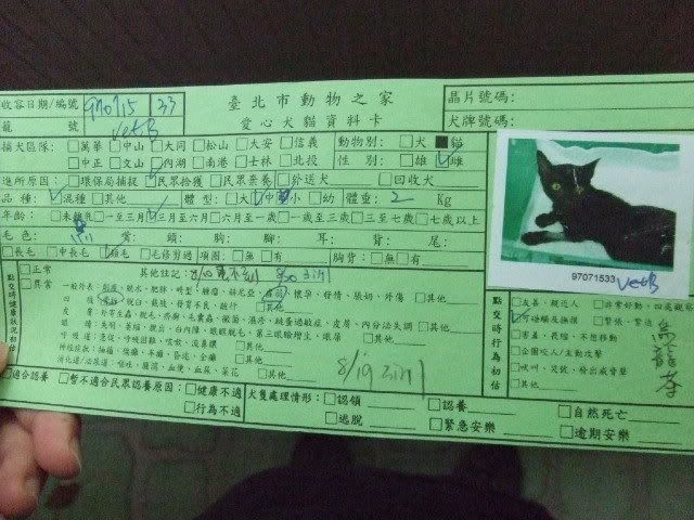 圖檔