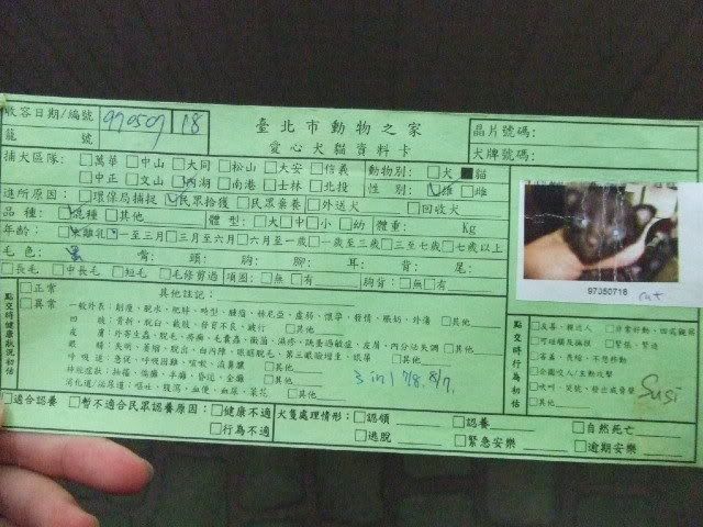 圖檔