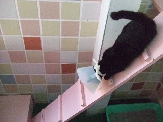 圖檔