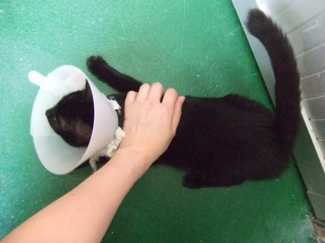 圖檔
