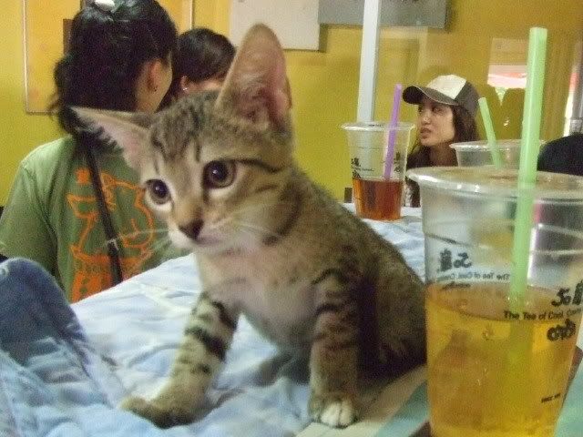 圖檔