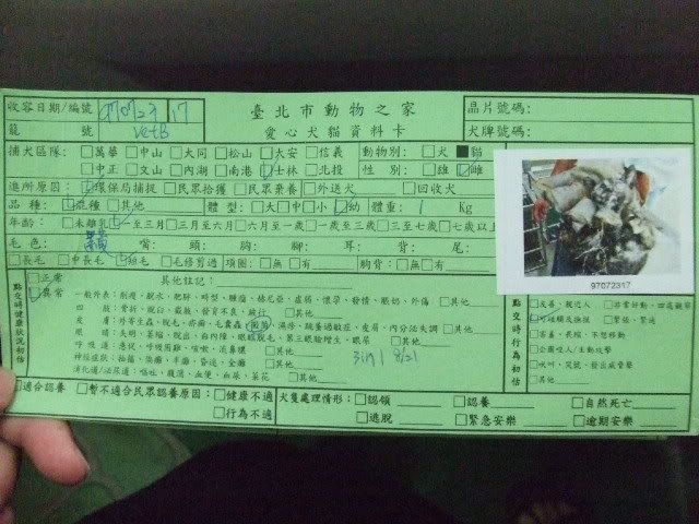 圖檔