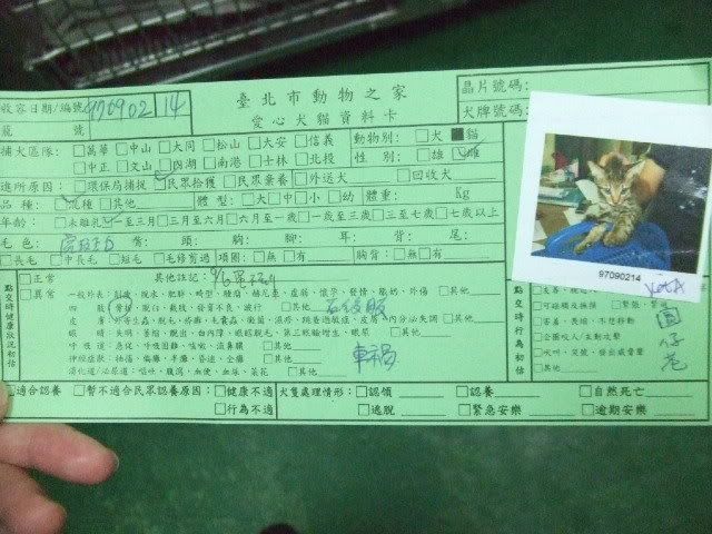 圖檔