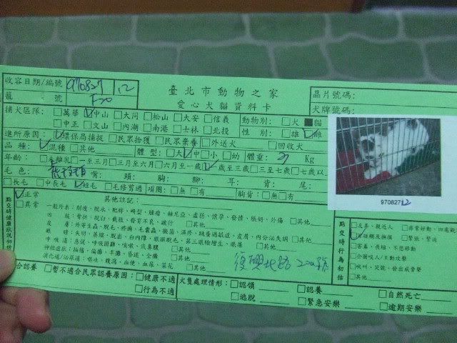 圖檔