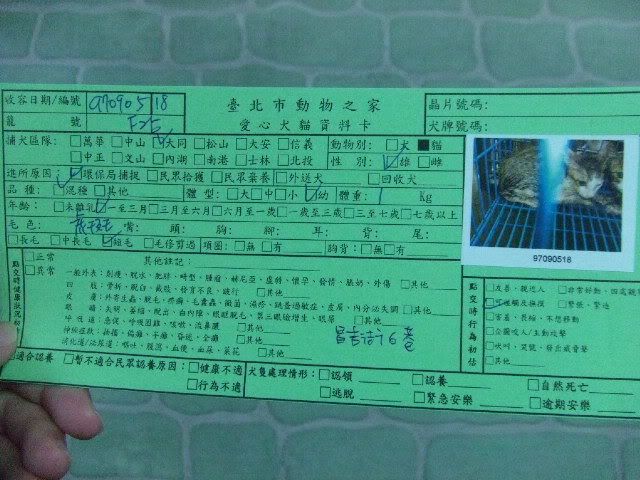 圖檔