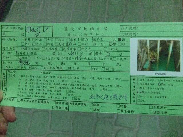 圖檔