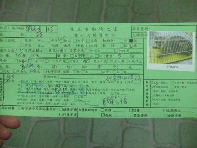 圖檔