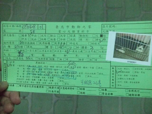 圖檔