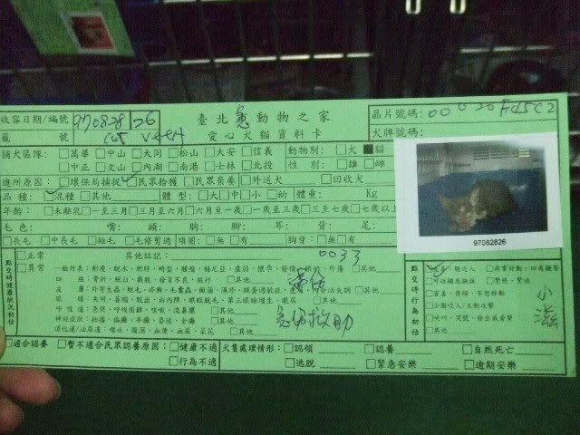 圖檔