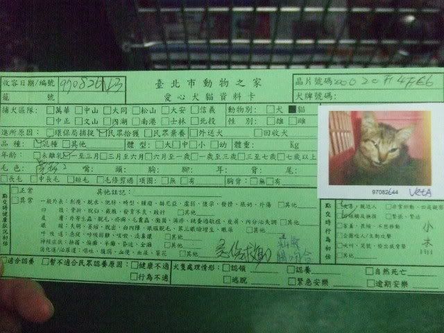 圖檔
