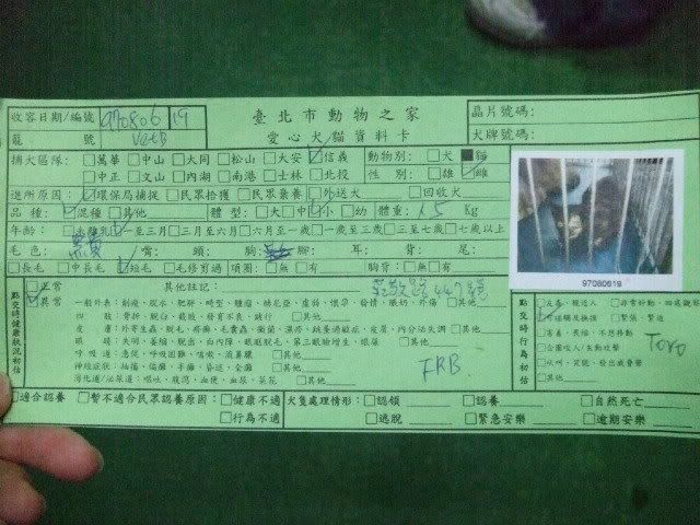 圖檔