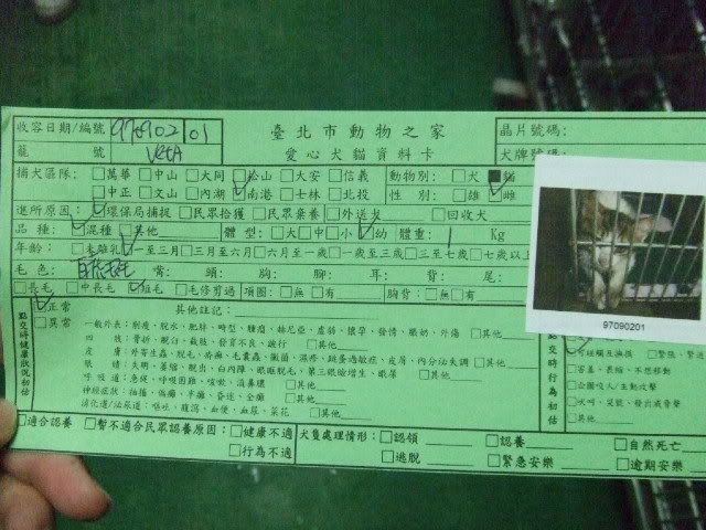 圖檔