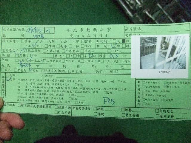圖檔