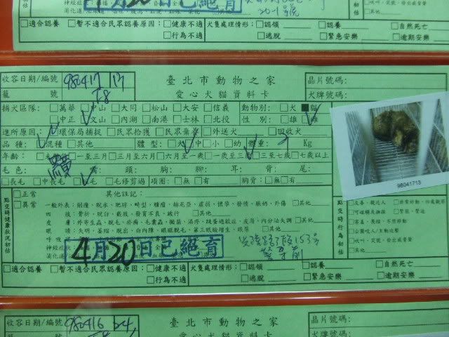 圖檔
