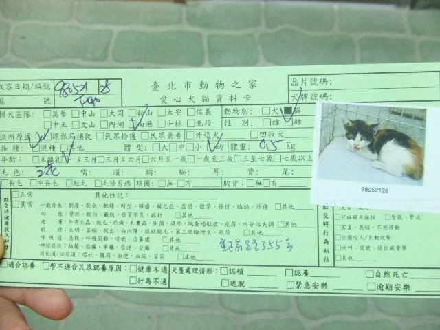 圖檔