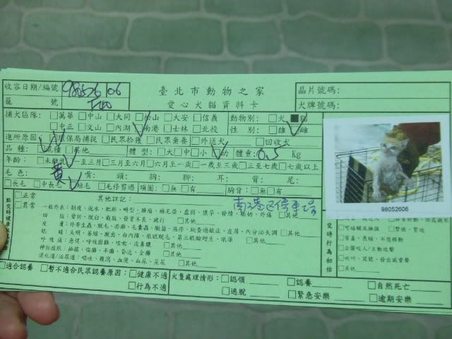 圖檔