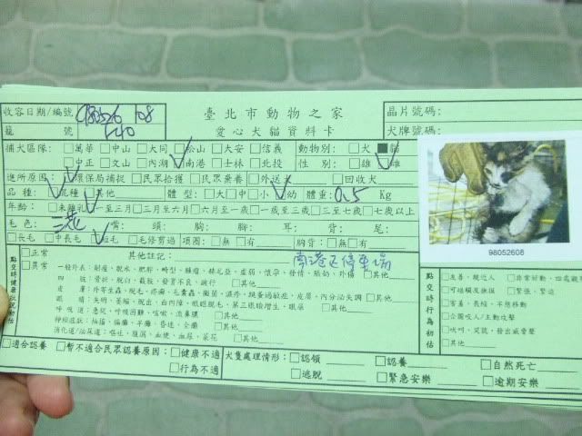 圖檔