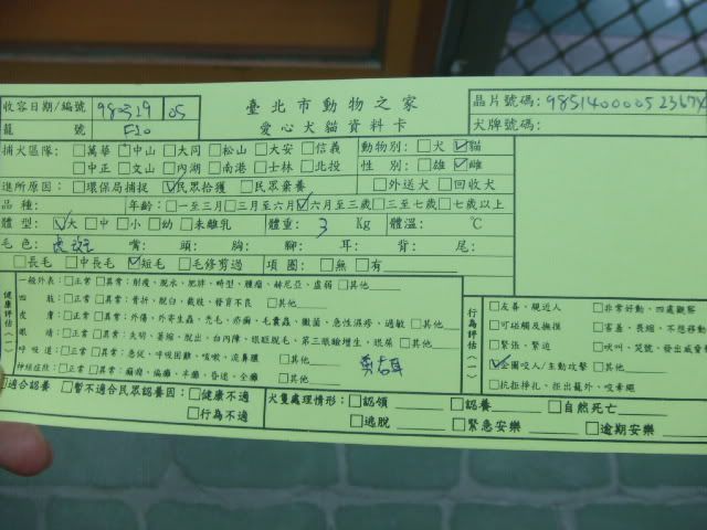 圖檔