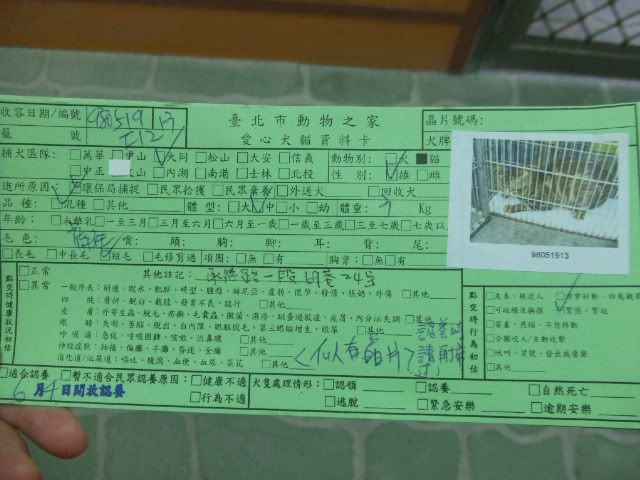圖檔