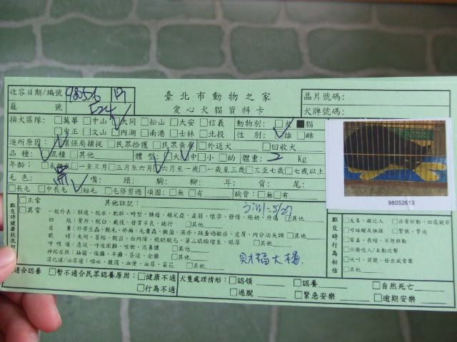 圖檔