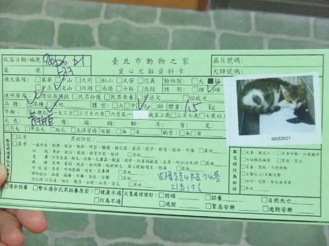 圖檔