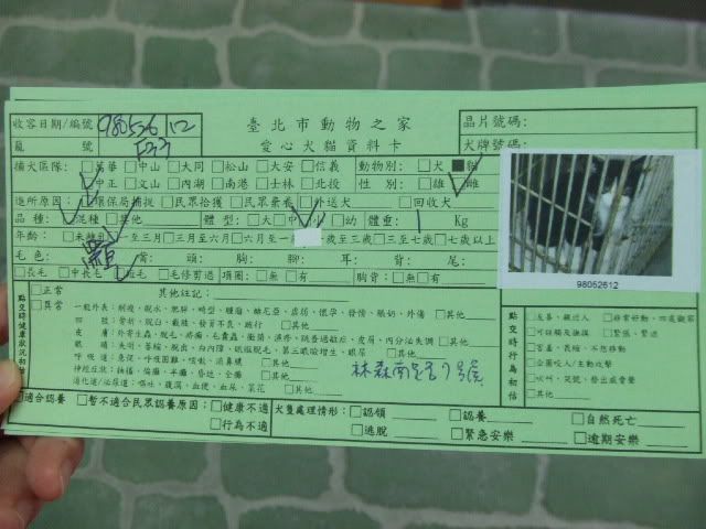 圖檔