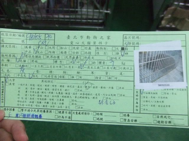 圖檔