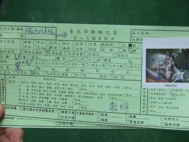 圖檔