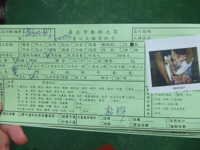 圖檔
