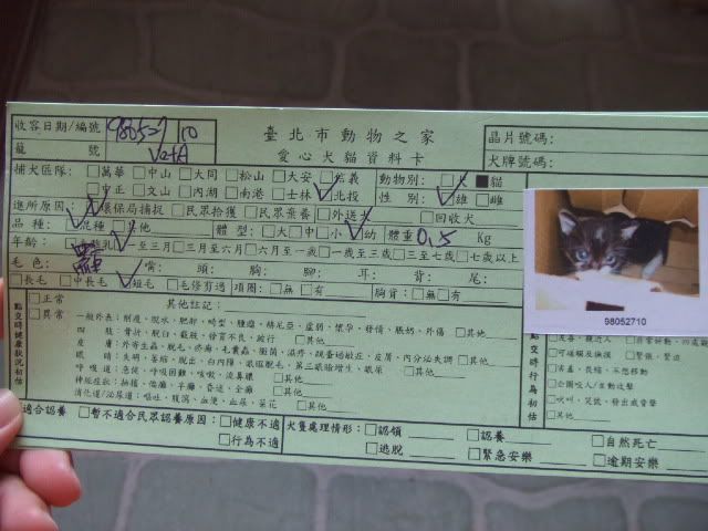 圖檔