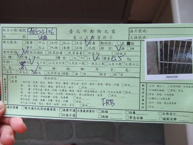 圖檔