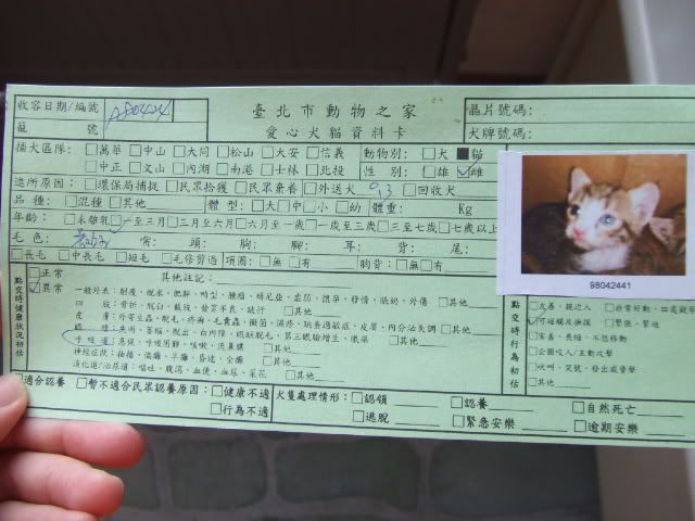 圖檔