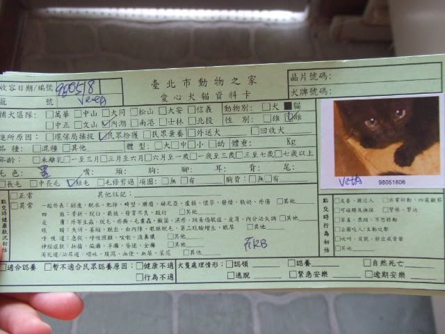 圖檔