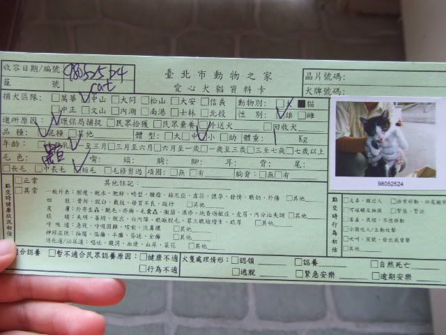 圖檔
