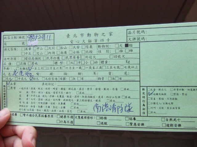 圖檔