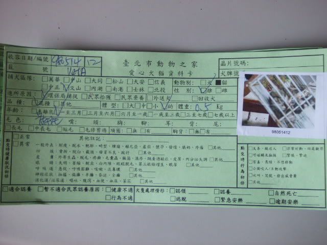 圖檔