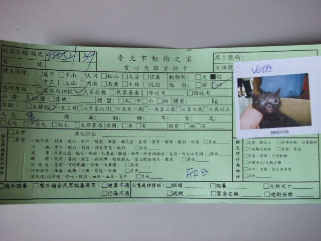 圖檔