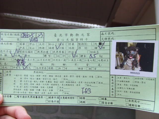 圖檔