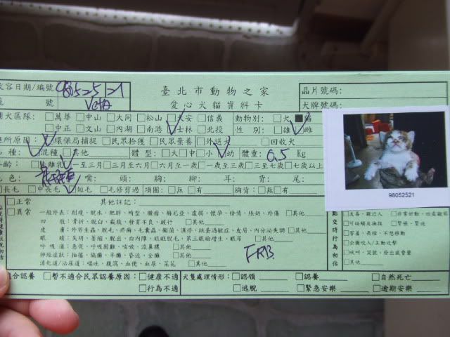 圖檔