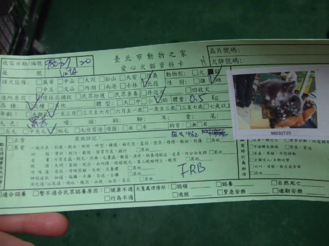 圖檔