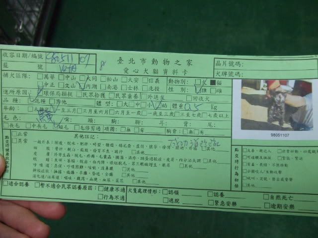 圖檔