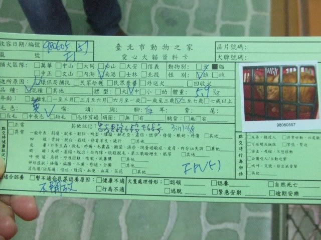 圖檔