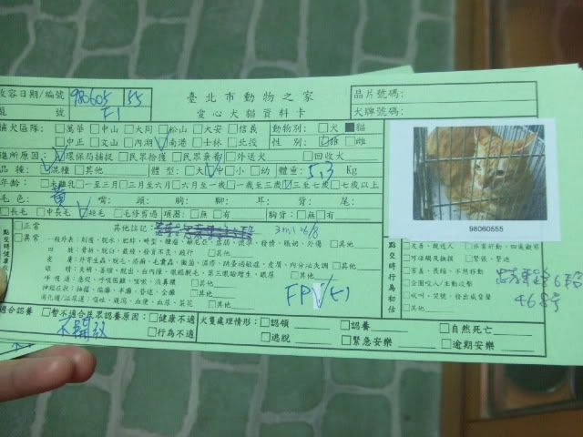 圖檔