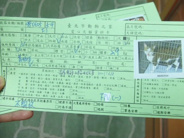圖檔