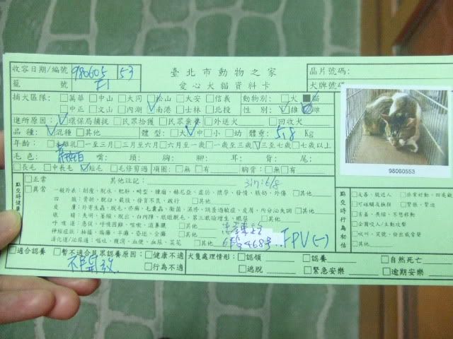 圖檔