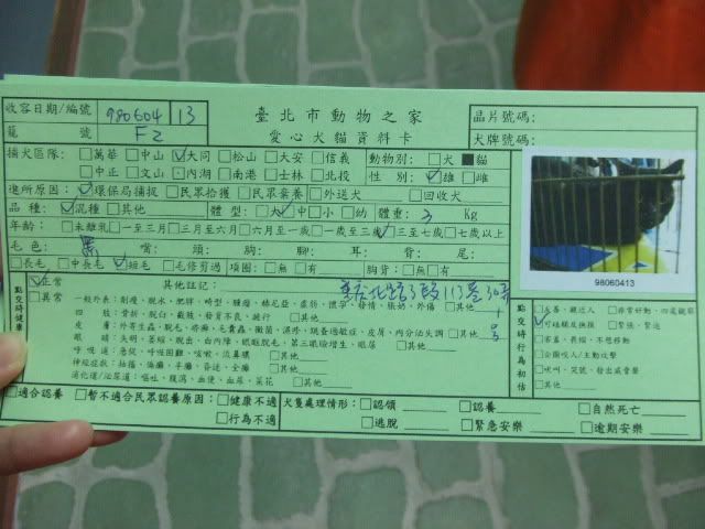 圖檔