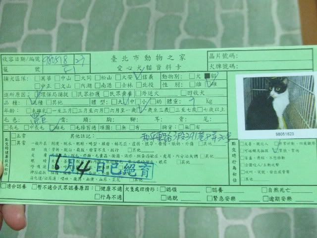圖檔