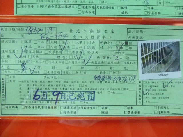 圖檔
